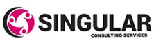 Singular Consulting Services